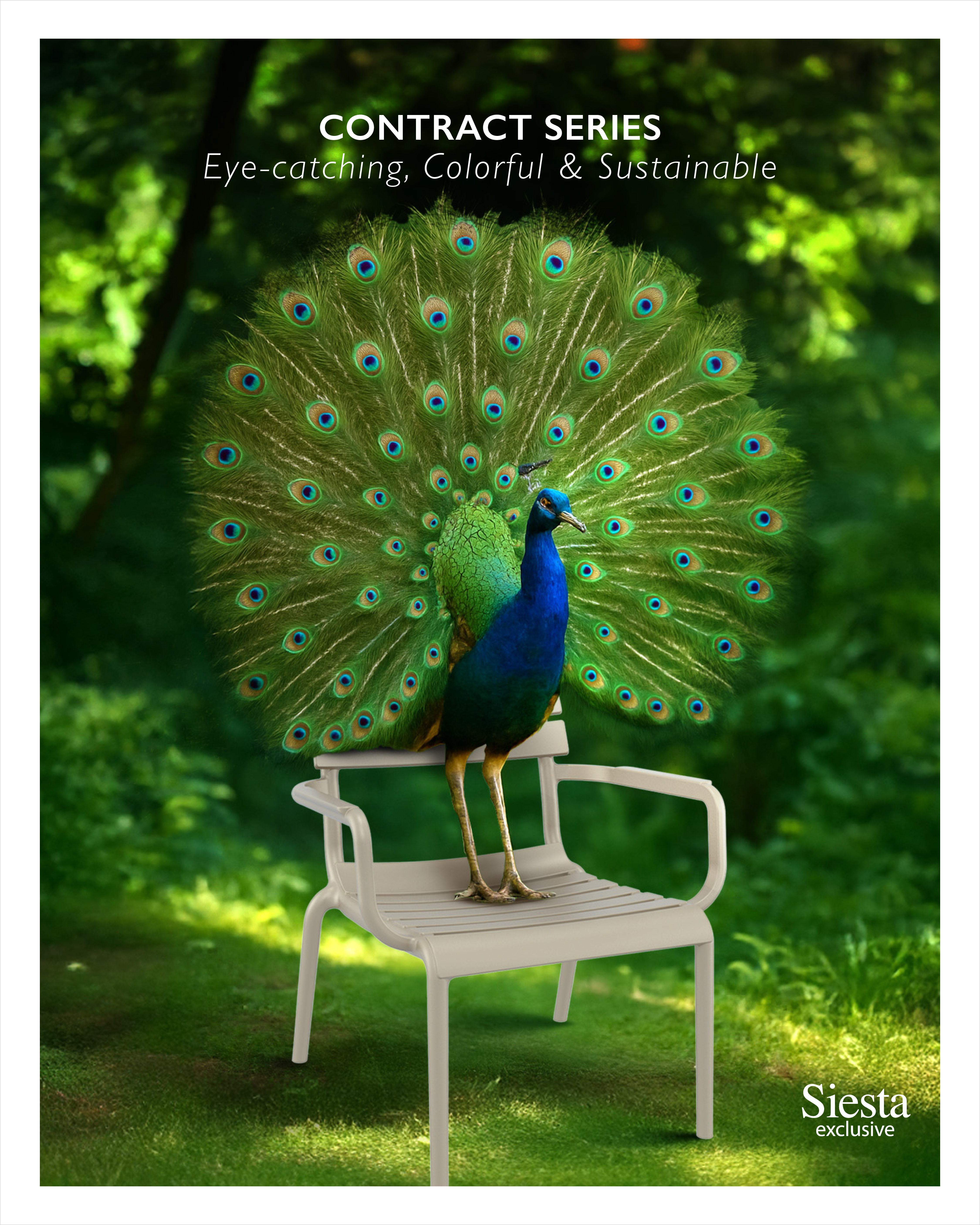 Siesta AI Content Series - Version 2