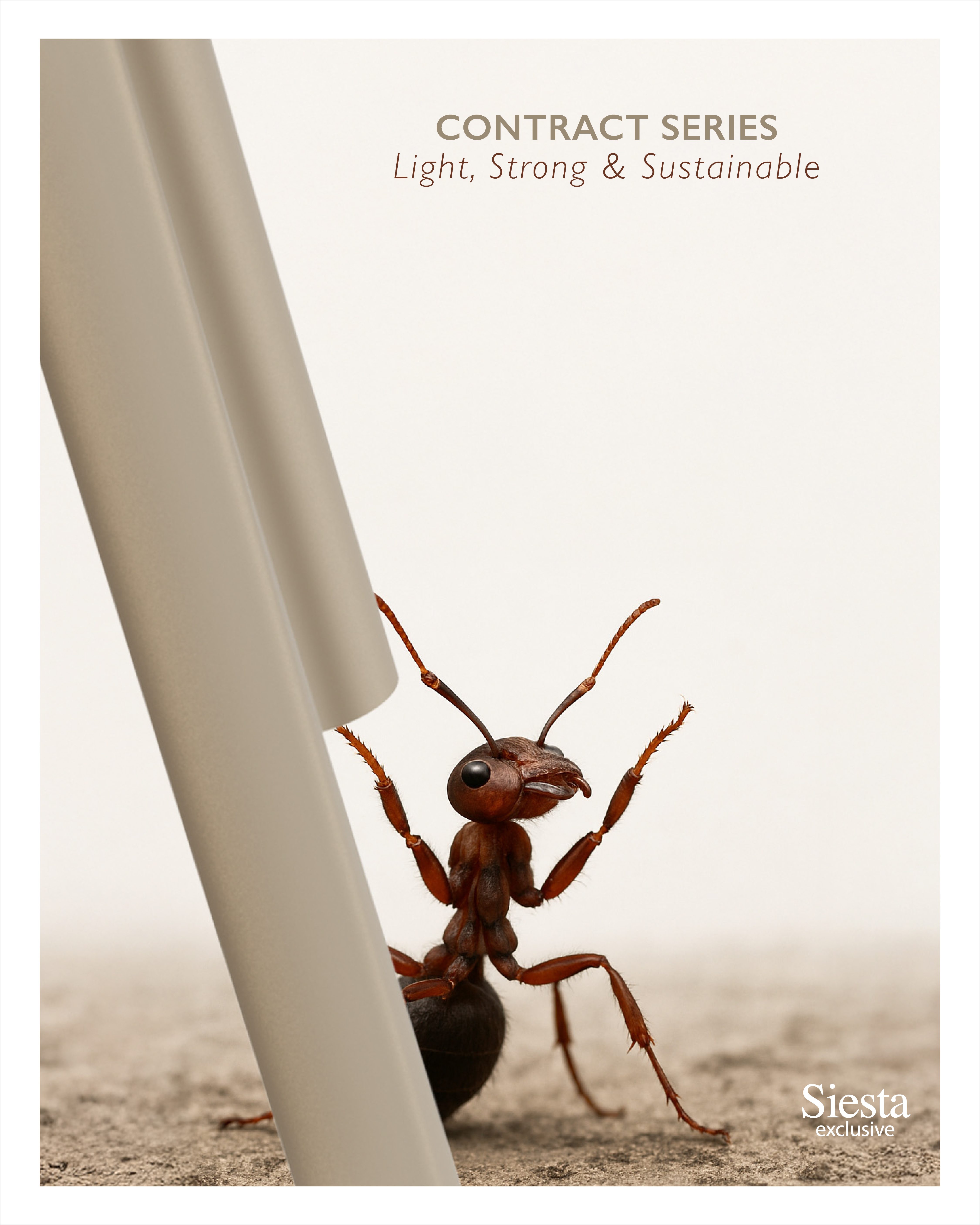 Siesta AI Content Series - Version 3