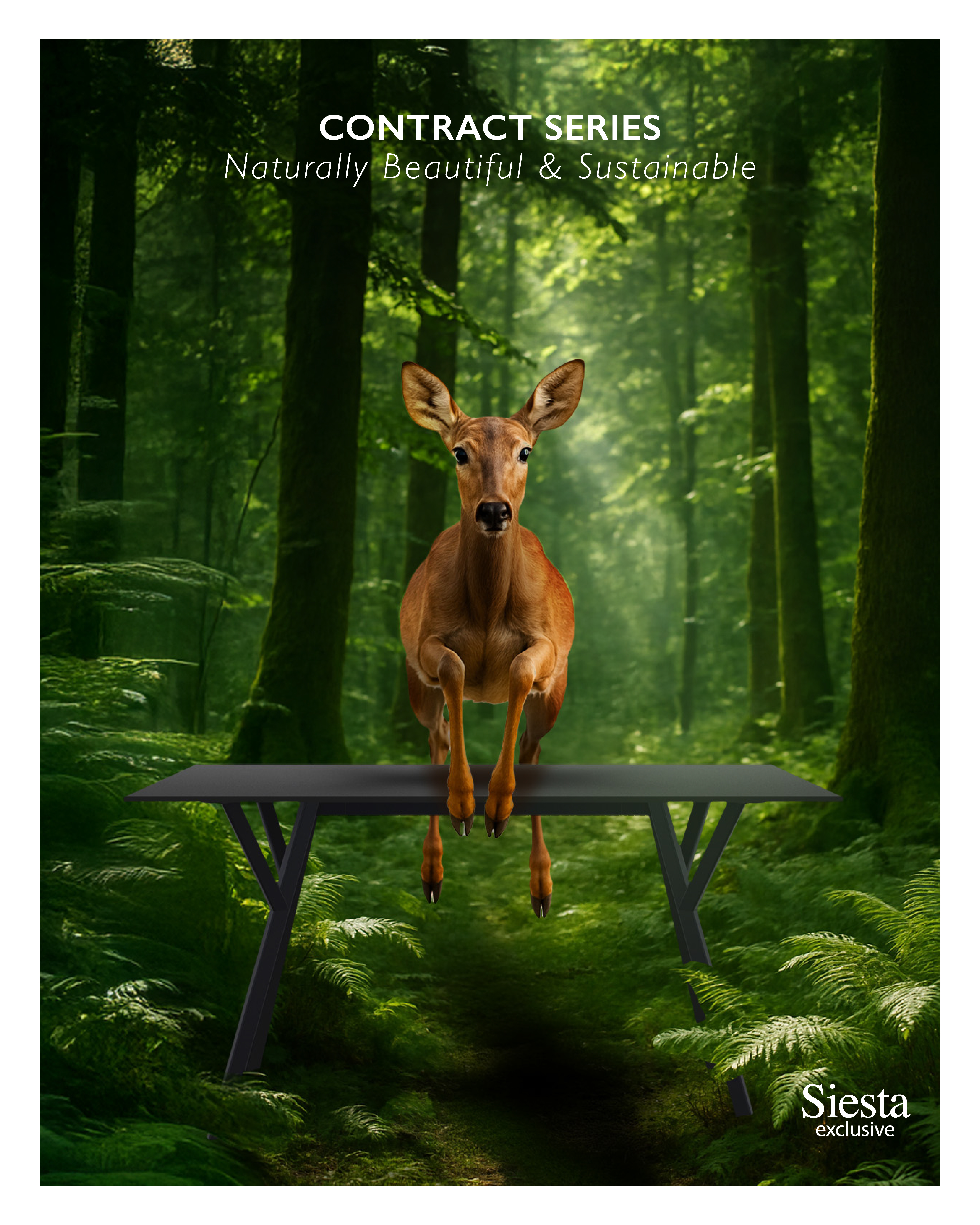 Siesta AI Content Series - Version 4